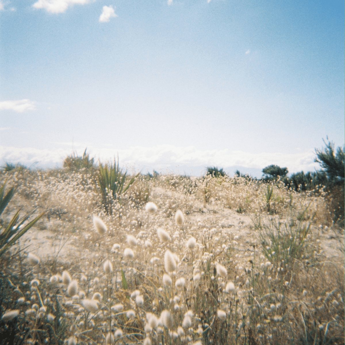 new year, new&nbsp;dreams